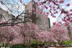View 170 West End Avenue #26F, New Yok, NY 10023 photo