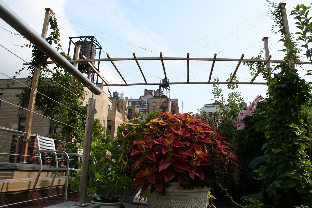 Roof garden detail (upper level); mature lilacs, roses, grapes, and fruit trees included