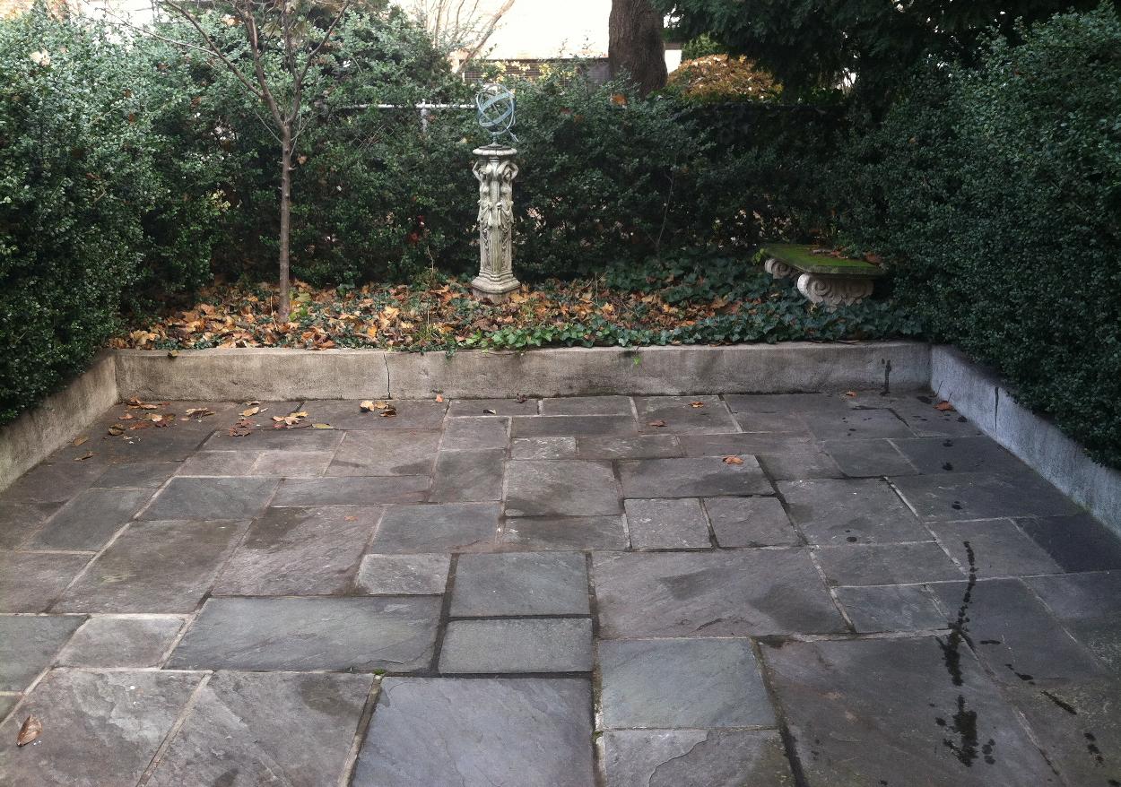 bluestone backyard with Japanese Boxwood privacy hedge.