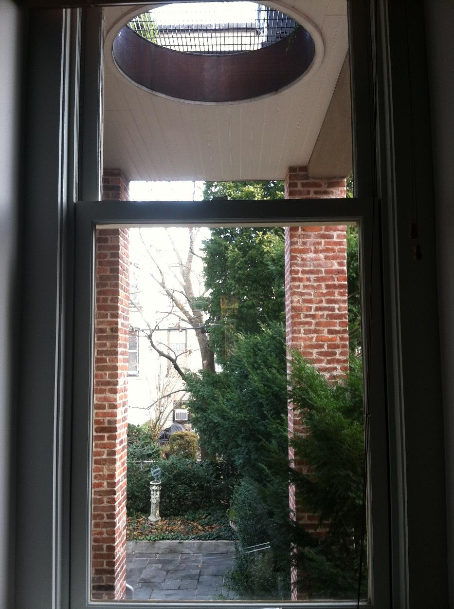 rear yard and oculus from Master Bedroom