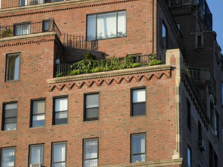 Close-up View of 17A Landscaped Terrace Facing North