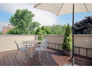 Roof Terrace accessed from the family room. Total privacy in tree tops. ipe wood
