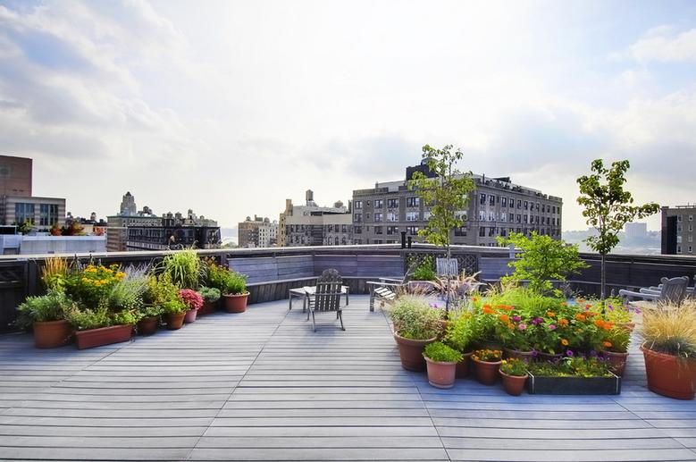 Roof Deck and garden